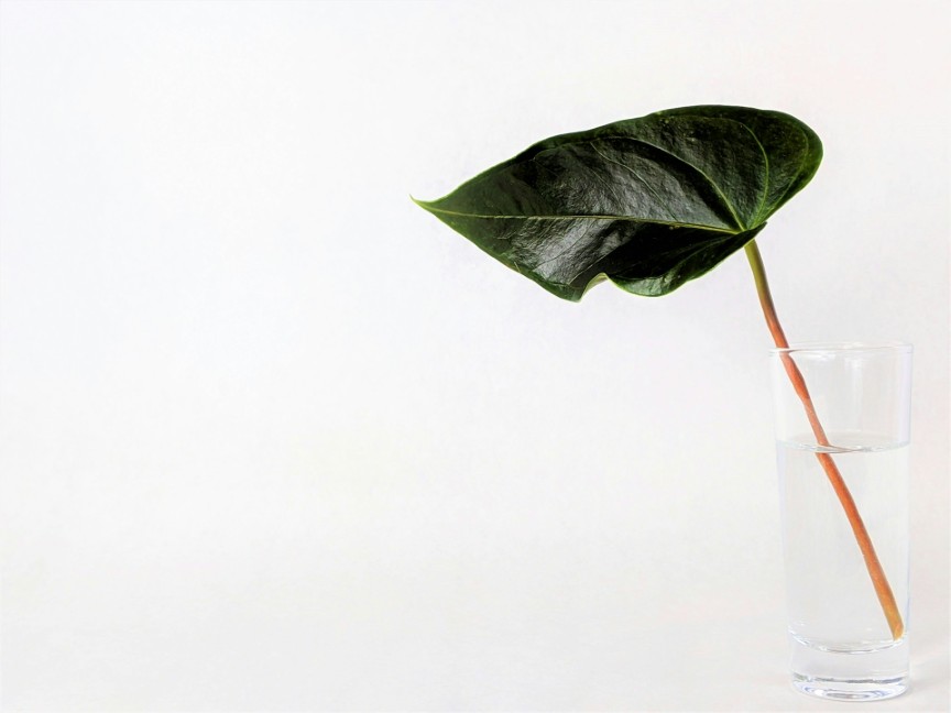 10 Natural Pain Relief Techniques in St Louis